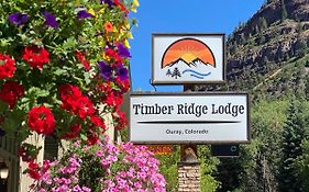 Timber Ridge Lodge Colorado